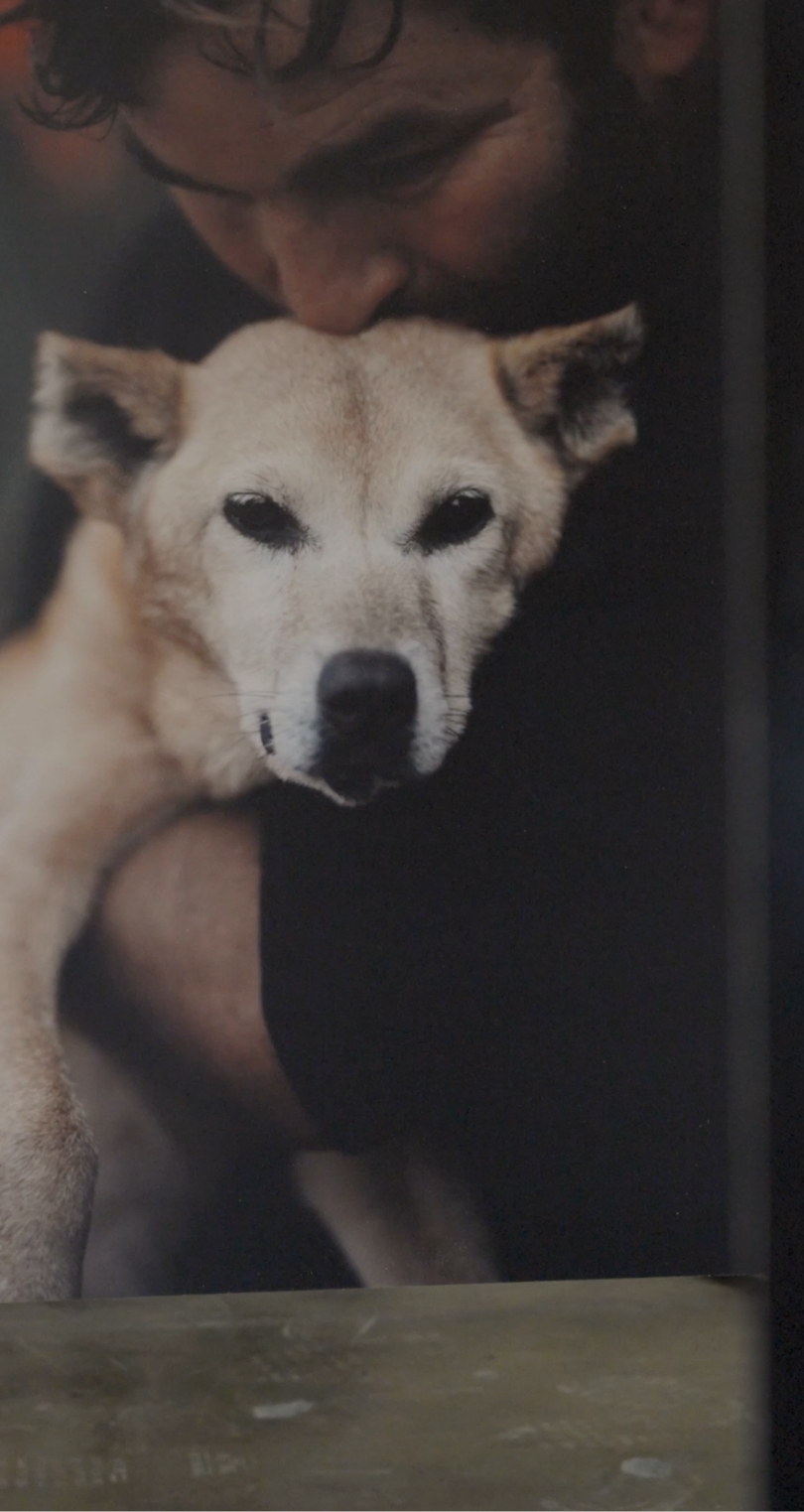 Dettaglio luce finestre Area Saideno