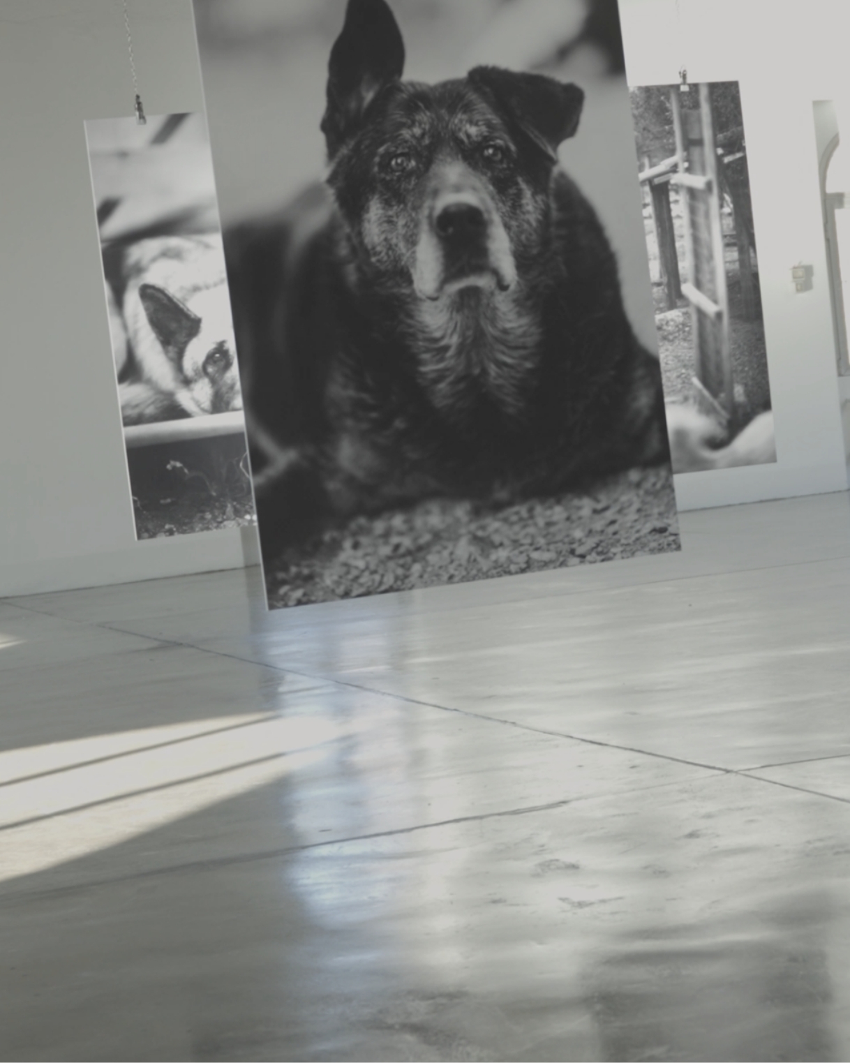 Dettaglio luce finestre Area Saideno