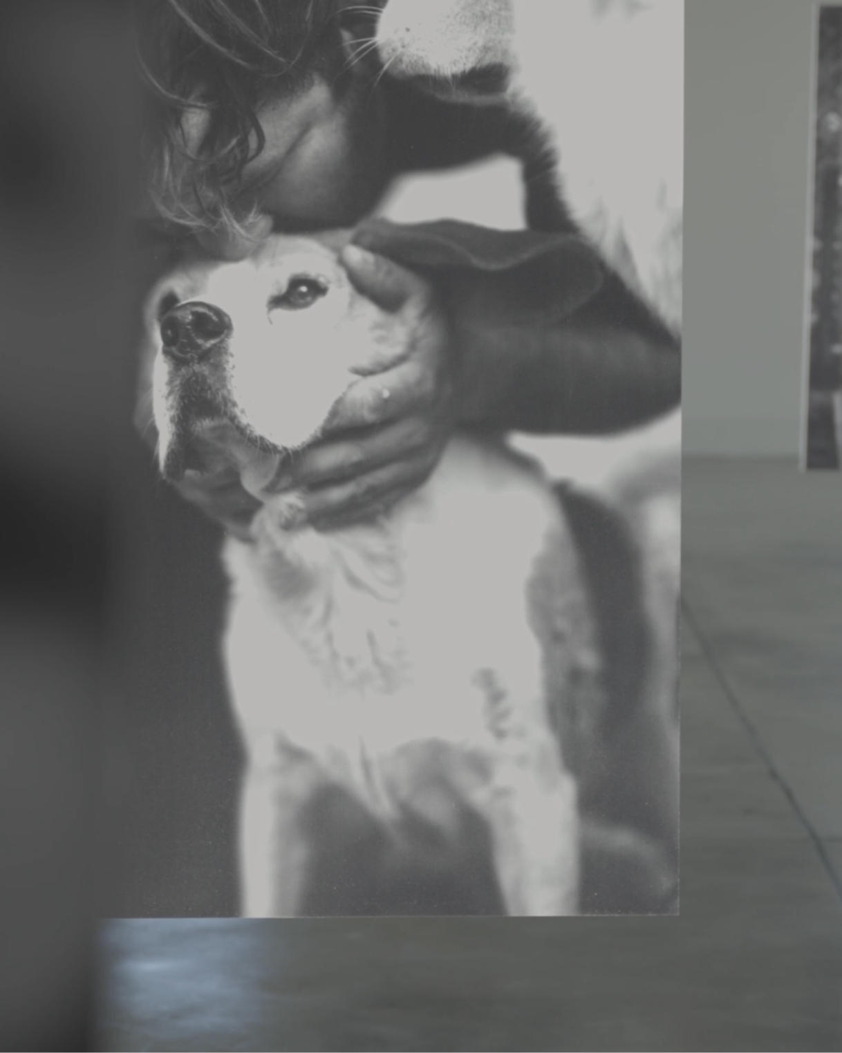 Dettaglio Interno Area Saideno stile industriale