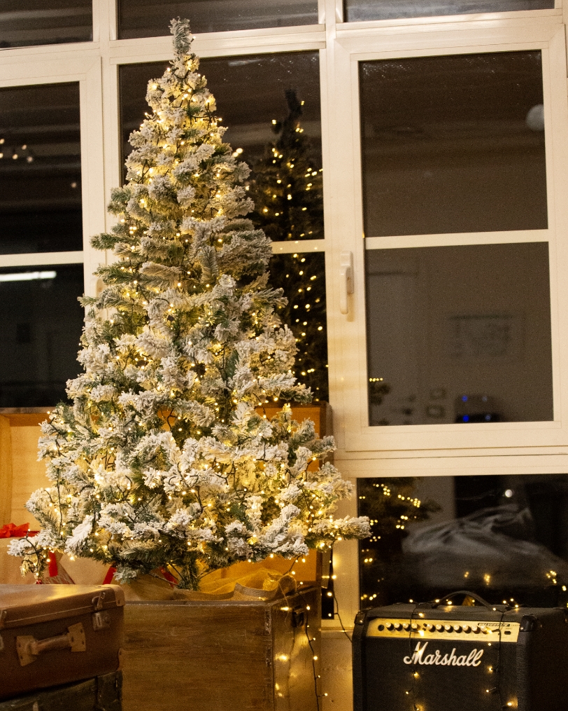 Dettaglio luce finestre Area Saideno